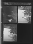 Two men with dog; Two men sitting down (3 Negatives (October 23, 1954) [Sleeve 52, Folder b, Box 5]